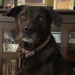 Meet your Posher, Sierra